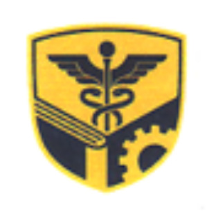 Datta Meghe IMS Logo